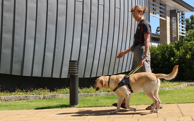 éducateur de chien d'aveugle