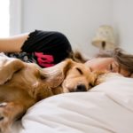 Dormir avec son chien, un rituel bénéfique mais à quel prix ?